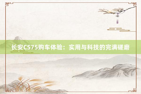 长安CS75购车体验：实用与科技的完满磋磨